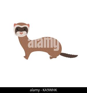 Ferret. Animal art, cute cartoon style, hand drawn illustration Stock