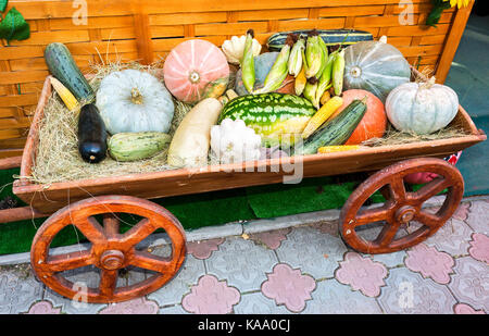 Agriculture harvested various colorful fresh vegetables on the old wooden cart. Thanksgiving day. Autumn Stock Photo
