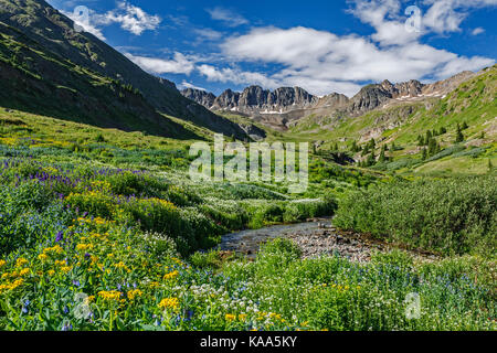 American Basin Crags, creek and wildflowers, American Basin, San Juan National Forest, Colorado USA Stock Photo