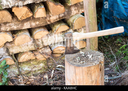 Ax of lumberjack in front of stacked logs Stock Photo
