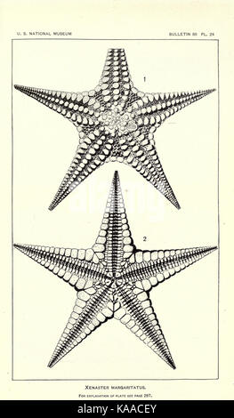 Revision of Paleozoic Stelleroidea BHL17072747 Stock Photo