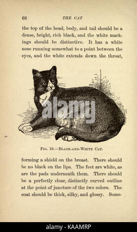 The cat, a guide to the classification and varieties of cats and a short tratise upon their care, diseases, and treatment (Page 68) BHL23731736 Stock Photo