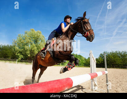 Horse jumping barrier during training at racetrack Stock Photo