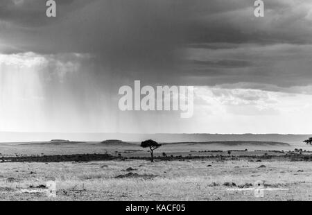 Black & white view of African landscape in bad weather: raining in the Masai Mara, Kenya, grey storm clouds precede a downpour of heavy rain Stock Photo
