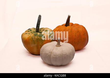 Three different pumpkins, a traditional orange, a white and a multi colored with a white background Stock Photo