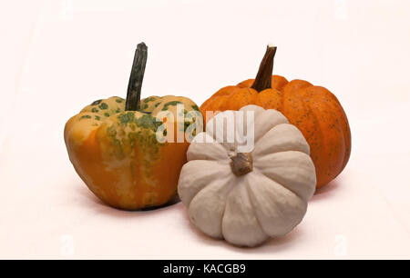 Three different pumpkins, a traditional orange, a white and a multi colored with a white background Stock Photo