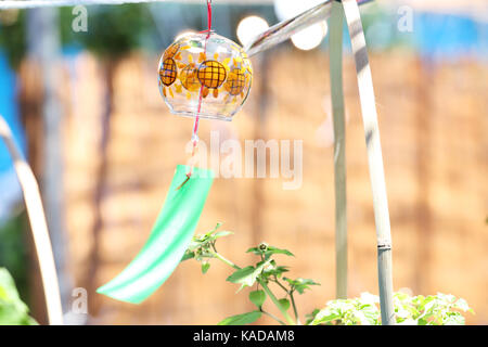 Wind chime at alkekengi Market, Tokyo, Japan Stock Photo