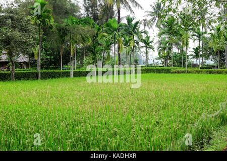 Son My, Vietnam - March 23, 2016: The My Lai Massacre memorial site. The My Lai massacre was the Vietnam War mass killing of between 347 and 504 unarm Stock Photo