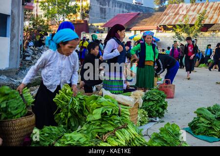 HA GIANG, VIETNAM - November 08, 2015: Woman in ethnic Hmong fair in Ha Giang, Vietnam. Ha Giang is home to mostly Hmong live. Stock Photo