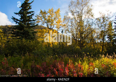 Autumn colors on mountainside Stock Photo