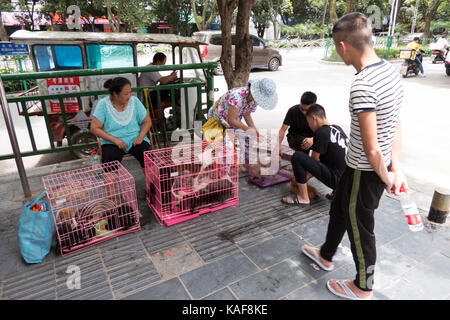 People selling pet puppies at on a stall at Chatuchak Weekend Market in ...