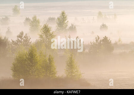 Morning mood in a former soft coal opencast mining Stock Photo