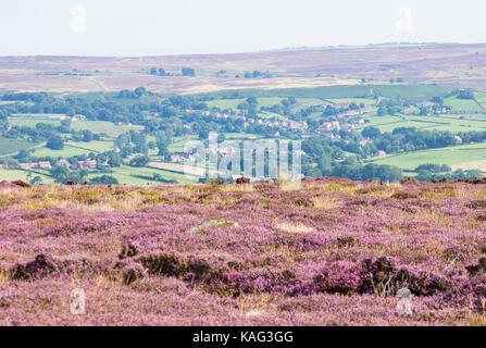 View over Westerdale village from Castleton Rigg. North York Moors National Park, North Yorkshire, England. UK Stock Photo