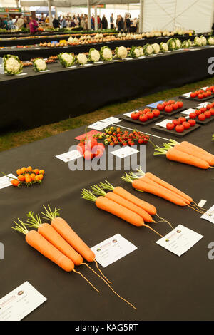 Vegetables at the Three Counties Autumn Show, Malvern. Stock Photo