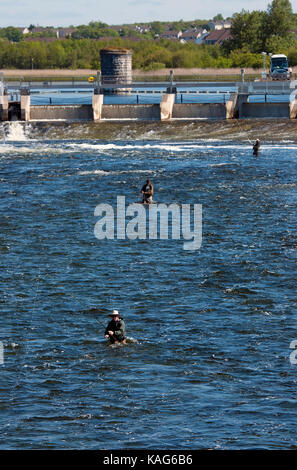 Salmon fishing in the Corrib river, Galway, County Galway, Ireland ...