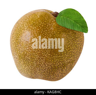 Asian pear(Pyrus pyrifolia ) isolated on white background. Stock Photo