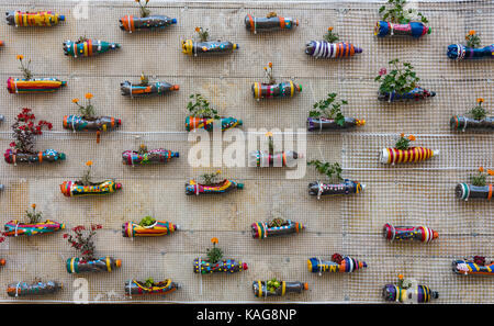 A hanging pot made with a recycled bottle flower pots made of plastic bottles Stock Photo