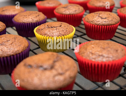 Chocolate cupcakes cooling on wire rack Stock Photo
