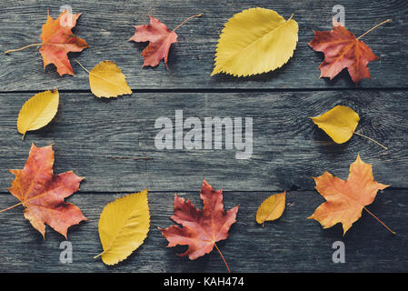 Autumn frame composition with fallen leaves on wooden background with copy space for text. Thanksgiving, Halloween, seasonal fall concept flat lay Stock Photo