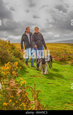 Couple with dogs walking towards Wistman's Wood, Dartmoor National Park, Devon, UK in September Stock Photo