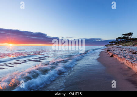 Sunset at the west beach Darss, Baltic Sea, National Park Vorpommersche Boddenlandschaft, Mecklenburg-Western Pomerania, Germany Stock Photo