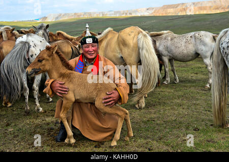 Mongolian man, horse shepherd, in traditional dress with foal and herd of horses, Mongolia Stock Photo