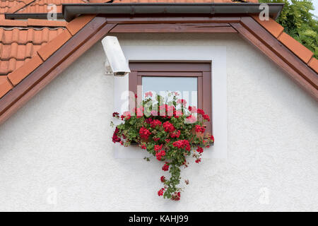 Cesky Krumlov, Czech Republic - August 17, 2017:Camera installed on a wall of a home with a small window and flowers Stock Photo