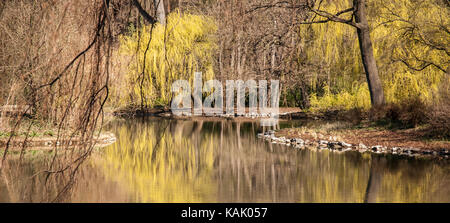 Carola See (Carola pond) in Dresden's Great Garden (Germany, Europe) in early spring. Stock Photo