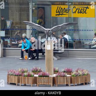 Allen the peregrine sheffield #IKEA artwork . Ikea Builds a Giant Falcon Out of Allen Keys to Mark Store Opening Stock Photo