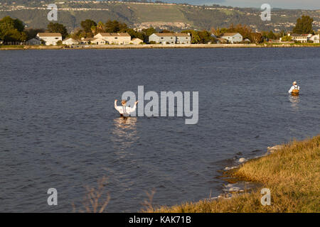 Two men fly-fishing in Alameda, California, USA. Men are in water up to shoulders, casting fishing lines into water. Shot during golden hour. Stock Photo