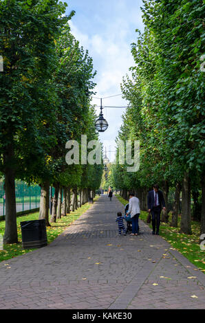 A Mum walks with he toddle down a tree lined path through parkland in Windsor, UK. Stock Photo