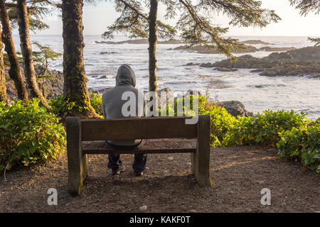 Man sitting on bench overlooking sea on Vancouver Island at sunset Stock Photo