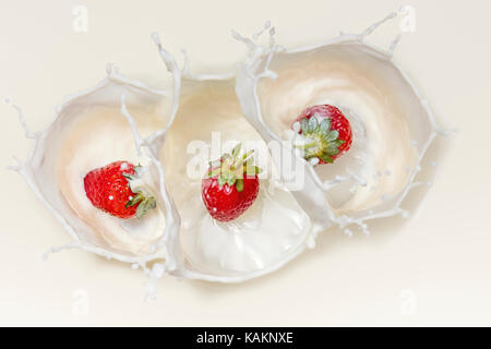 Three Fresh Red Strawberries splashing in white milk from from above Stock Photo