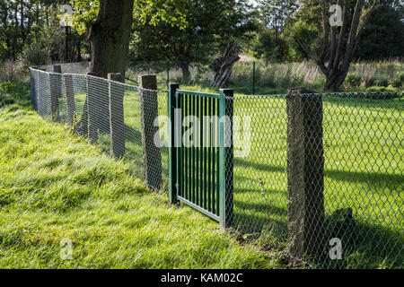 Metal grille fence protecting private property. Green grass and trees. Summer Stock Photo