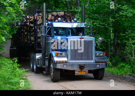 Loaded logging truck hauling logs on a dirt road in the Adirondack wilderness. Stock Photo