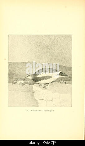 The gallinaceous game birds of North America (Pl. 40) (8119298005) Stock Photo