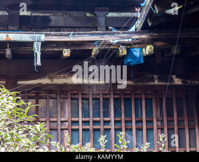 Spider sitting on a spider web on old historical building in the area Daigoji Buddhist temple in Kyoto, Japan Stock Photo