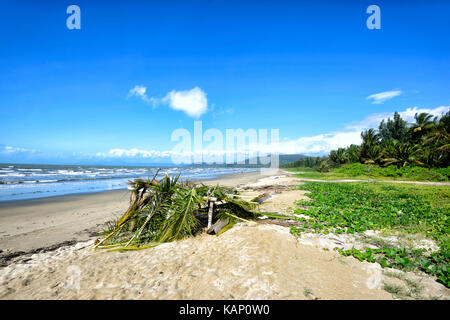Shelter made of palm fronds on Wonga Beach, Far North Queensland, FNQ, QLD, Australia Stock Photo