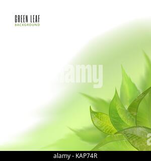 Vector abstract watercolor imitation background with leaves. Design template with place for your text. Can be used for web pages, identity style, printing, invitations, banners. Stock Vector