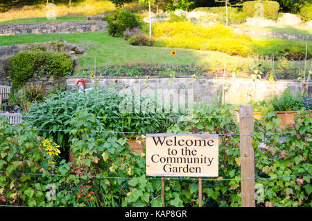 The Community Garden at Wharton Park, Durham Stock Photo