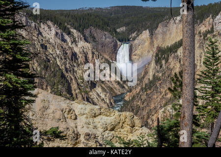 Lower Falls of the Yellowstone River in Yellowstone National Park, Wyoming, USA Stock Photo