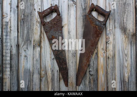 Two old rusty saws hanging on the wall of a wooden house. Stock Photo