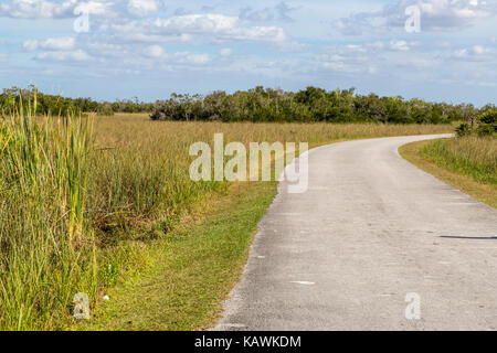 Everglades National Park, Florida.  Shark Valley Tram Road. Stock Photo