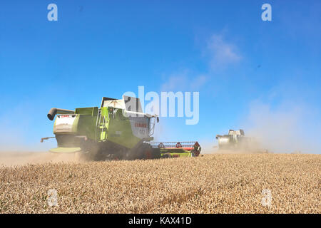 TERNOPIL - JULY 20: A few combines cutting a swath through the middle of a wheat field during harvest on July 20, 2017, in Ternopil Stock Photo