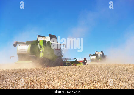TERNOPIL - JULY 20: A few combines cutting a swath through the middle of a wheat field during harvest on July 20, 2017, in Ternopil Stock Photo