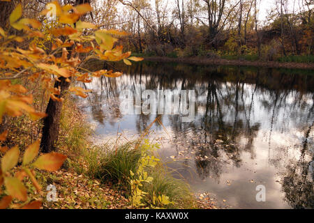 Autumn etude on the bank of a small reservoir Stock Photo