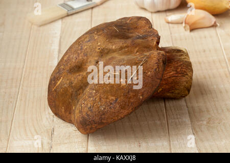 Whole fresh raw dotted stem bolete Stock Photo