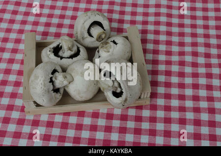 Landscape view of mushroooms in a small wooden crate on a red and white checkered table cloth with copy space around the edges Stock Photo
