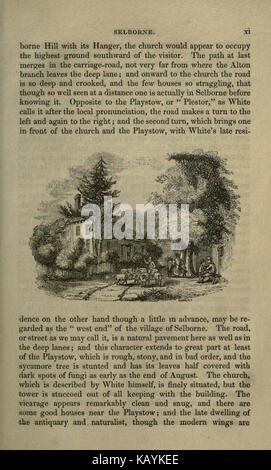 Eleven Years In Ceylon: Comprising Sketches Of The Field Sports And Natural History Of That Colony And An Account Of Its History And Antiquities 2 Vols. Set - Gyan Books main image 1