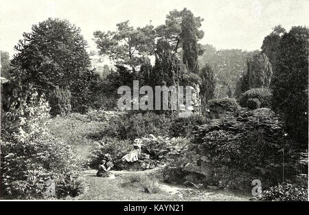 The rock garden at Highnam Court (1900) Stock Photo